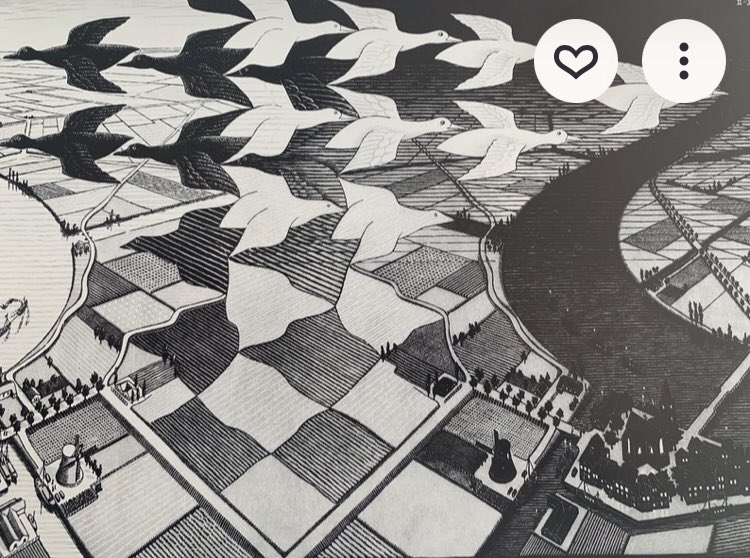 RJsnda's tweet photo. @PravnikNaVetvi Day And Night. MC Escher https://t.co/HJGLnNMa2Y