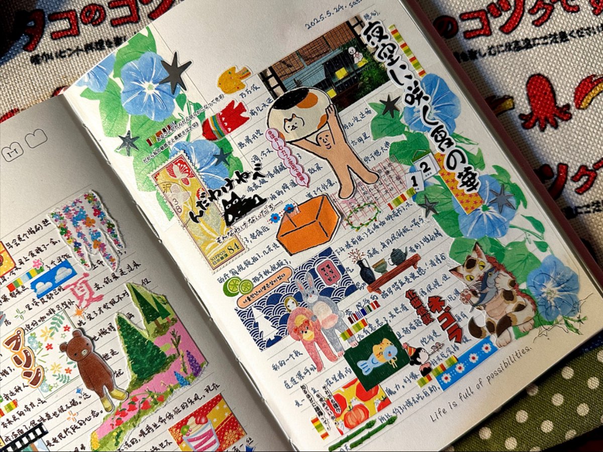 zS1X56TmRt6149's tweet photo. [苯毖驳掖の新しい発見、毎日が新しい！]， https://t.co/eVmYvcH9ye