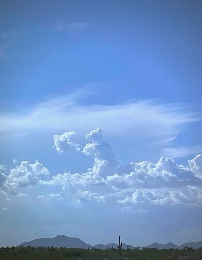 berusoratori's tweet photo. 「梅雨の晴れ間、青空が頭をもたげた」， https://t.co/Kt37DBjBKk