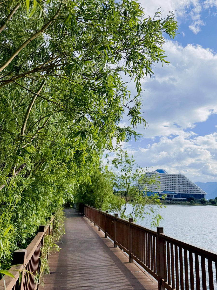 MMKOOA4's tweet photo. 尾瀬（おぜ）の沼辺（ぬまべ）、道が尾を引いて少し詰まってる https://t.co/pwI08XV1AZ