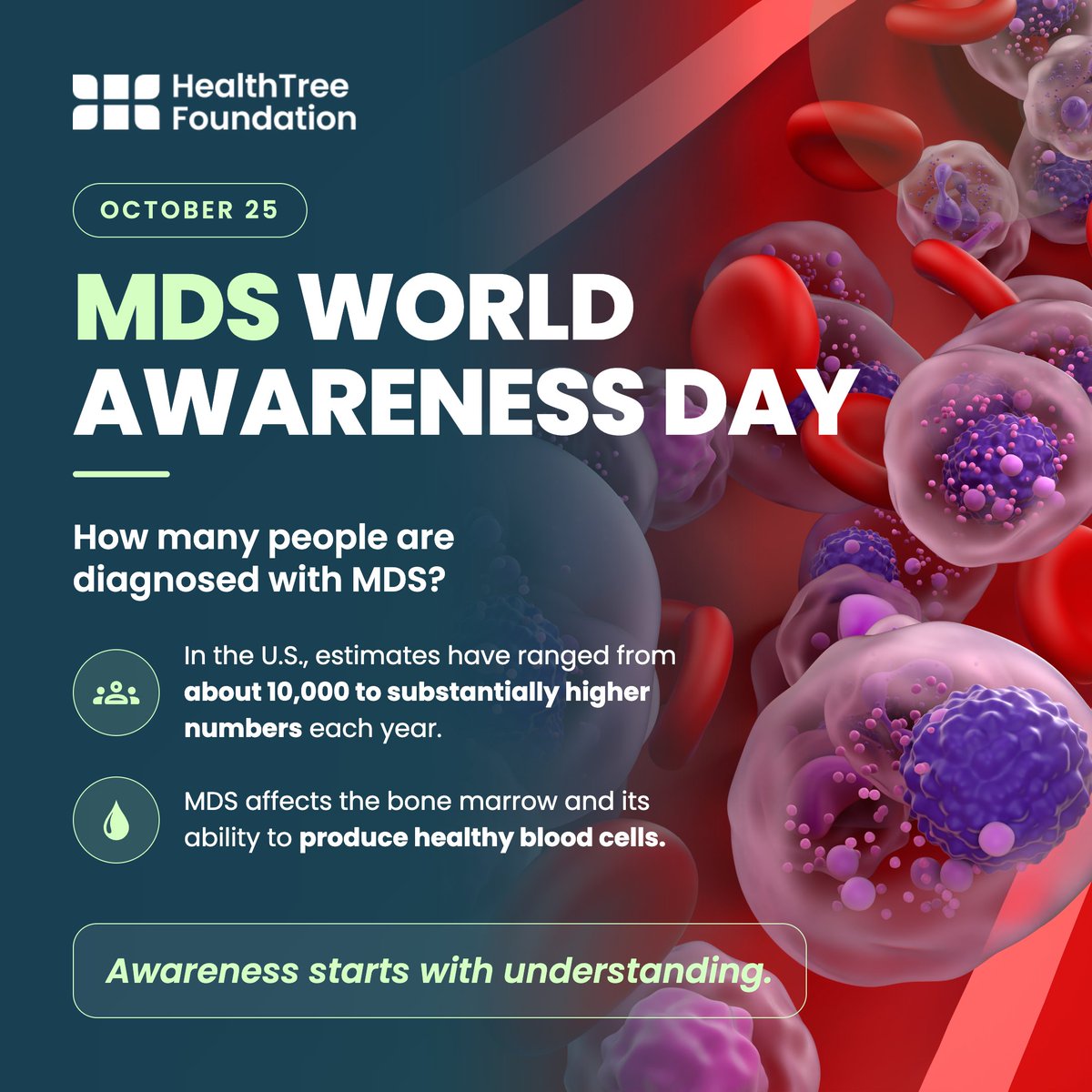 HealthTree's tweet photo. MDS World Awareness Day is October 25.
Knowledge can help patients and caregivers feel more prepared.
Explore HealthTree’s MDS Guide and upcoming educational webinars.
👉 Learn more:  https://t.co/6hfGZf8c2G
#MDSAwareness #MDS #HealthTree https://t.co/Ea5soGuLBc