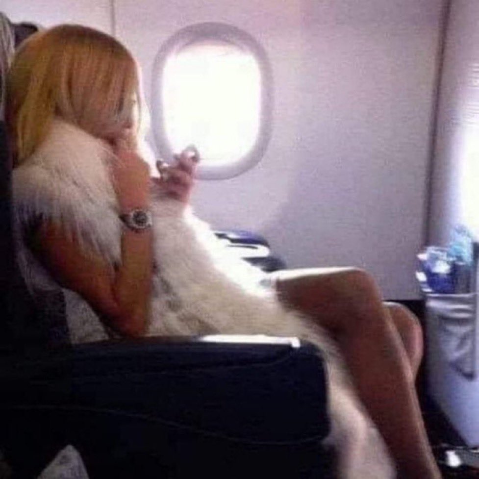 feelgoodtale's tweet photo. A PLANE IS ON ITS WAY TO TORONTO , WHEN A BLONDE IN ECONOMY CLASS GETS UP AND MOVES TO THE FIRST CLASS SECTION AND SITS DOWN.

THE FLIGHT ATTENDANT WATCHES HER DO THIS AND ASKS TO SEE HER TICKET.

SHE THEN TELLS THE BLONDE THAT SHE PAID FOR ECONOMY CLASS AND THAT SHE WILL HAVE TO SIT IN THE BACK.

THE BLONDE REPLIES, "I'M BLONDE, I'M BEAUTIFUL, I'M GOING TO TORONTO AND I'M STAYING RIGHT HERE."

THE FLIGHT ATTENDANT GOES INTO THE COCKPIT AND TELLS THE PILOT AND THE CO-PILOT THAT THERE IS A BLONDE BIMBO SITTING IN FIRST CLASS, THAT BELONGS IN ECONOMY AND WON'T MOVE BACK TO HER SEAT.

THE CO-PILOT GOES BACK TO THE BLONDE AND TRIES TO EXPLAIN THAT BECAUSE SHE ONLY PAID FOR ECONOMY SHE WILL HAVE TO LEAVE AND RETURN TO HER SEAT.

THE BLONDE REPLIES, "I'M BLONDE, I'M BEAUTIFUL, I'M GOING TO TORONTO AND I'M STAYING RIGHT HERE."

THE CO-PILOT TELLS THE PILOT THAT HE PROBABLY SHOULD HAVE THE POLICE WAITING WHEN THEY LAND TO ARREST THIS BLONDE WOMAN WHO WON'T LISTEN TO REASON.

THE PILOT SAYS, "YOU SAY SHE IS A BLONDE? I'LL

HANDLE THIS, I'M MARRIED TO A BLONDE. I SPEAK BLONDE."

HE GOES BACK TO THE BLONDE AND WHISPERS IN HER EAR, AND SHE SAYS, "OH, I'M SORRY." AND GETS UP AND GOES BACK TO HER SEAT IN ECONOMY.

THE FLIGHT ATTENDANT AND CO-PILOT ARE AMAZED AND ASKED HIM WHAT HE SAID TO MAKE HER MOVE WITHOUT ANY FUSS.

"I TOLD HER, 'FIRST CLASS ISN'T GOING TO TORONTO."