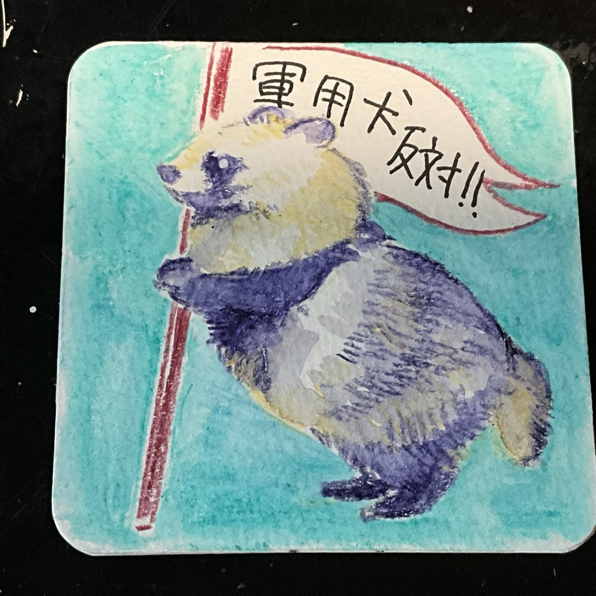 umekoumekoyeah's tweet photo. たぬきも犬科です。反対します。
#軍用犬反対 https://t.co/OTnOo5Zruc