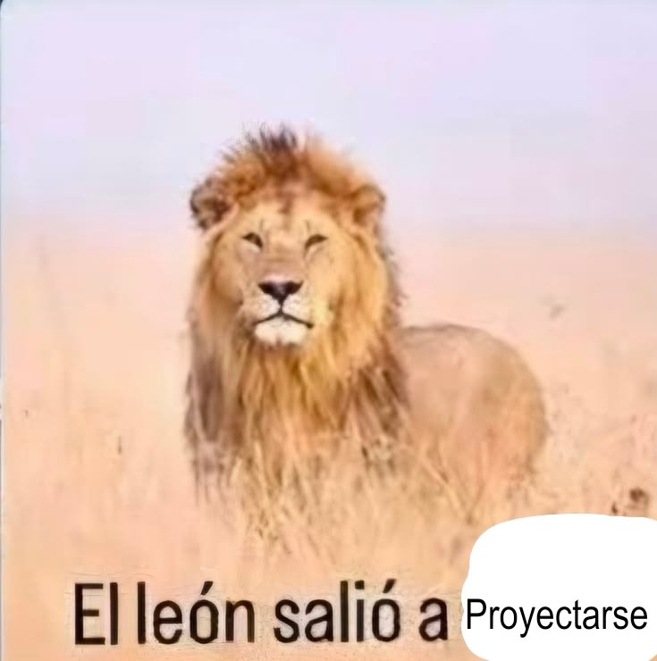 Tenkowife01's tweet photo. Yo todos los días https://t.co/HLE9EvQLvk