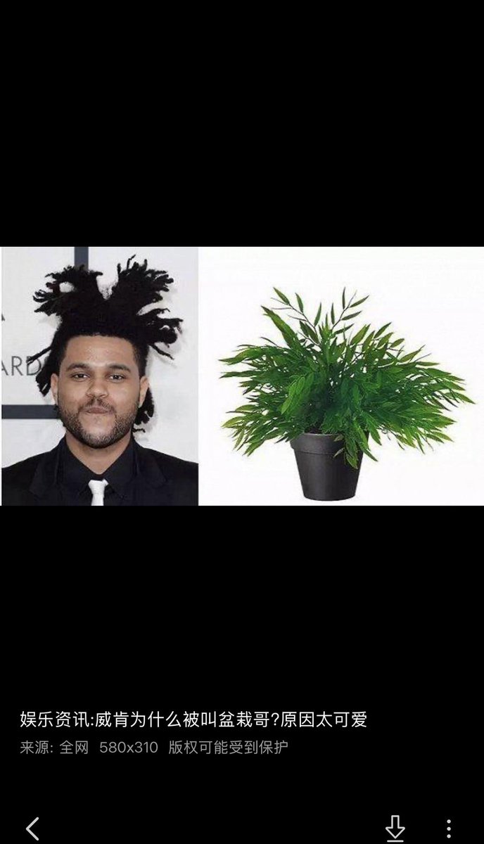 abels_cable's tweet photo. After spending 2 hours on Hong Kong TikTok this is their version of Abel memes 😭 https://t.co/TAd0fG9FDm