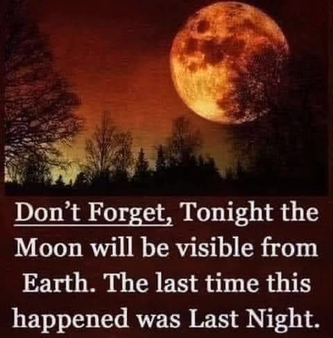 LouieKerr8's tweet photo. 🤔...🤣 https://t.co/VSkJoNXRva