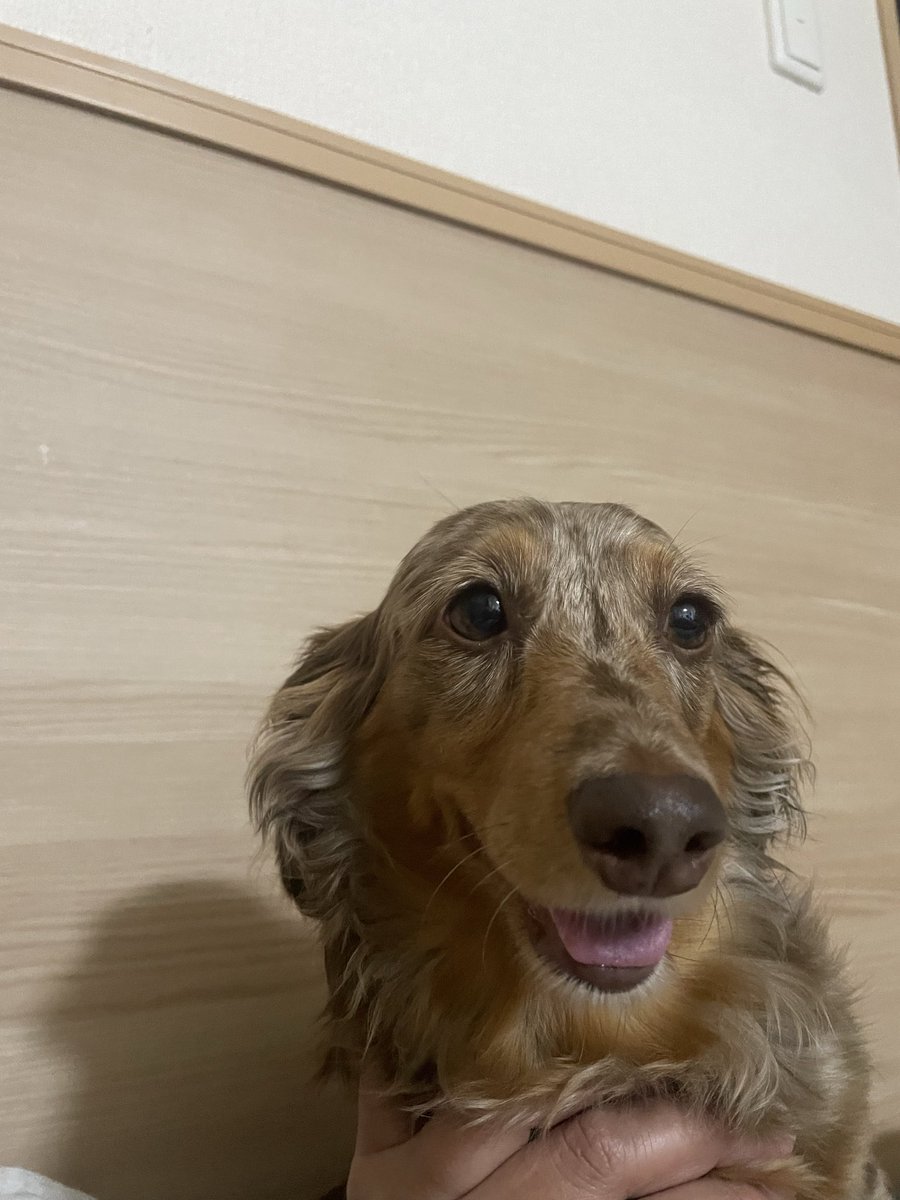 chillout0122's tweet photo. ぐっなぁーい✨ https://t.co/e0Ut4qGoIE