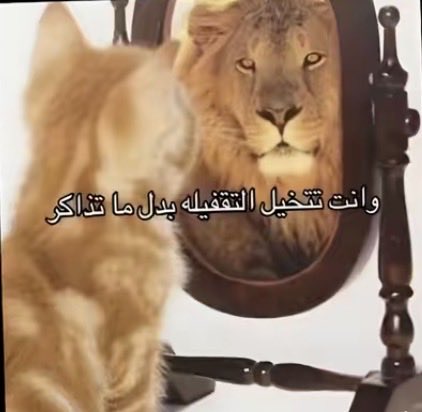 Iamaniconic's tweet photo. @y_iito انتِ https://t.co/SgpUdoFamH