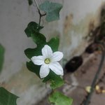 Photo by மனமே மந்திரம்...! (@PNtwitz)