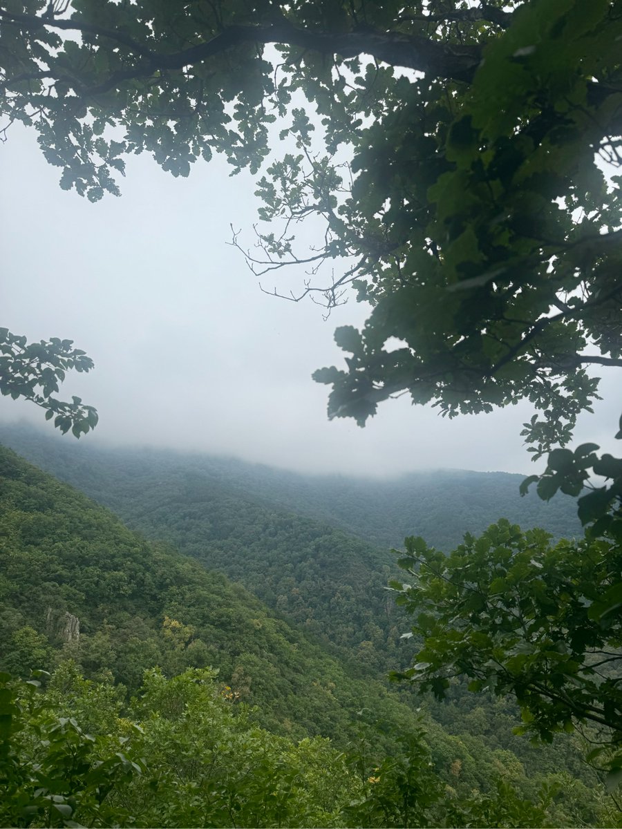 K4614140309's tweet photo. [谅毫恫山の神秘的な風景が、旅人の心を掴む]， https://t.co/wa5XT31ffa