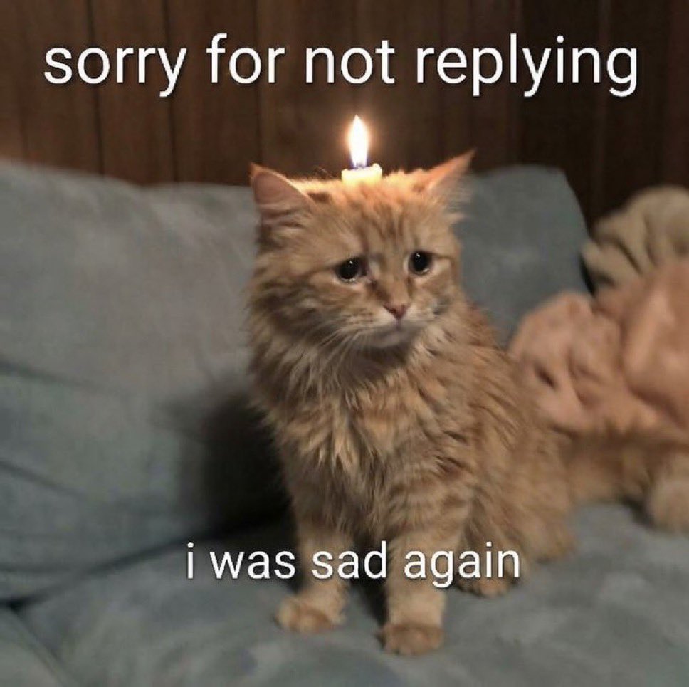 sillymeow4u's tweet photo. https://t.co/Mnrk1ah8jZ