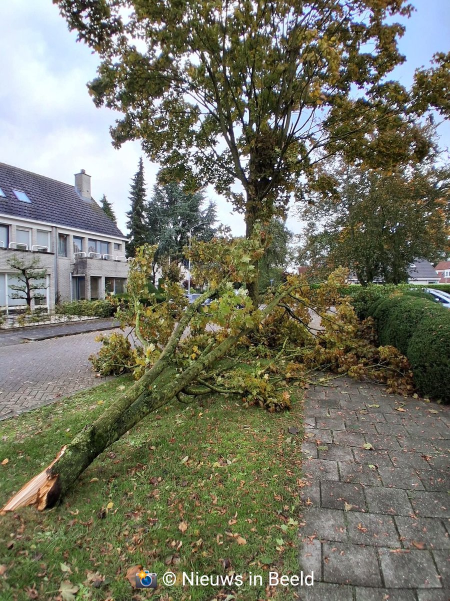 Meerdere meldingen van stormschade en omgevallen bomen in Amersfoort