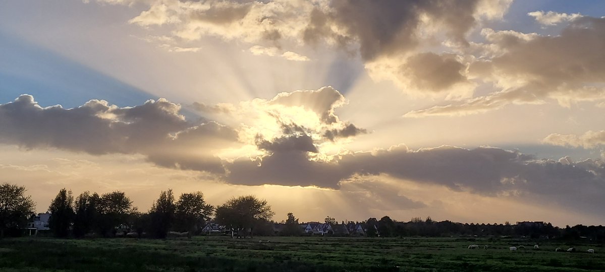 johan_klos's tweet photo. Goedemiddag nog even #uitwaaien bij nasleep #StormBeolo in #Alblasserdam met mooie #zonnestralen bij #zonsondergang #weerfoto https://t.co/9EZRagx8vm