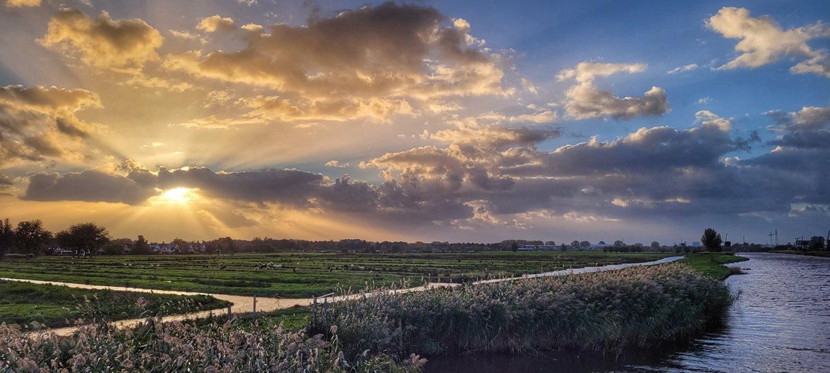 johan_klos's tweet photo. Goedemiddag nog even #uitwaaien bij nasleep #StormBeolo in #Alblasserdam met mooie #zonnestralen bij #zonsondergang #weerfoto https://t.co/9EZRagx8vm