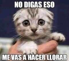 Tenkowife01's tweet photo. Yo cada q discuto con mi mamá https://t.co/zLWW8YZBuZ