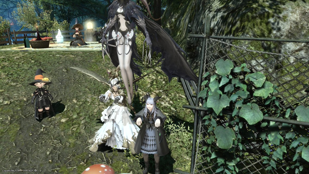 binaryleaf_FF14's tweet photo. 増えました✨
#FF14 https://t.co/fjVTGi8j7M