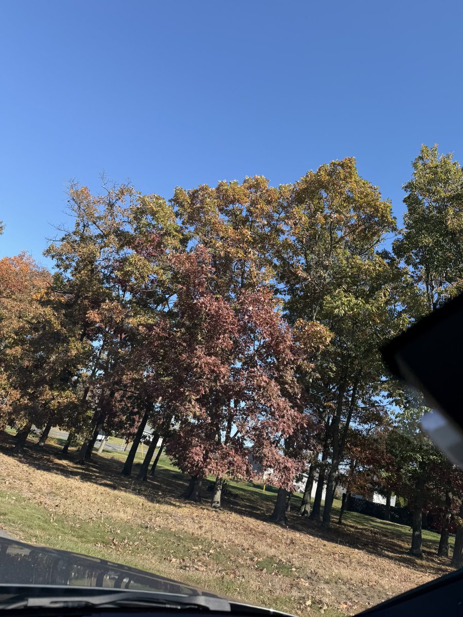 Mike_McGinley's tweet photo. Happy Sunday, friends! Enjoy this beautiful fall day, if you’re in this season. 🍂
#NEPA #Autumn #FallFeels #NortheastPA https://t.co/vevnb3mfoV