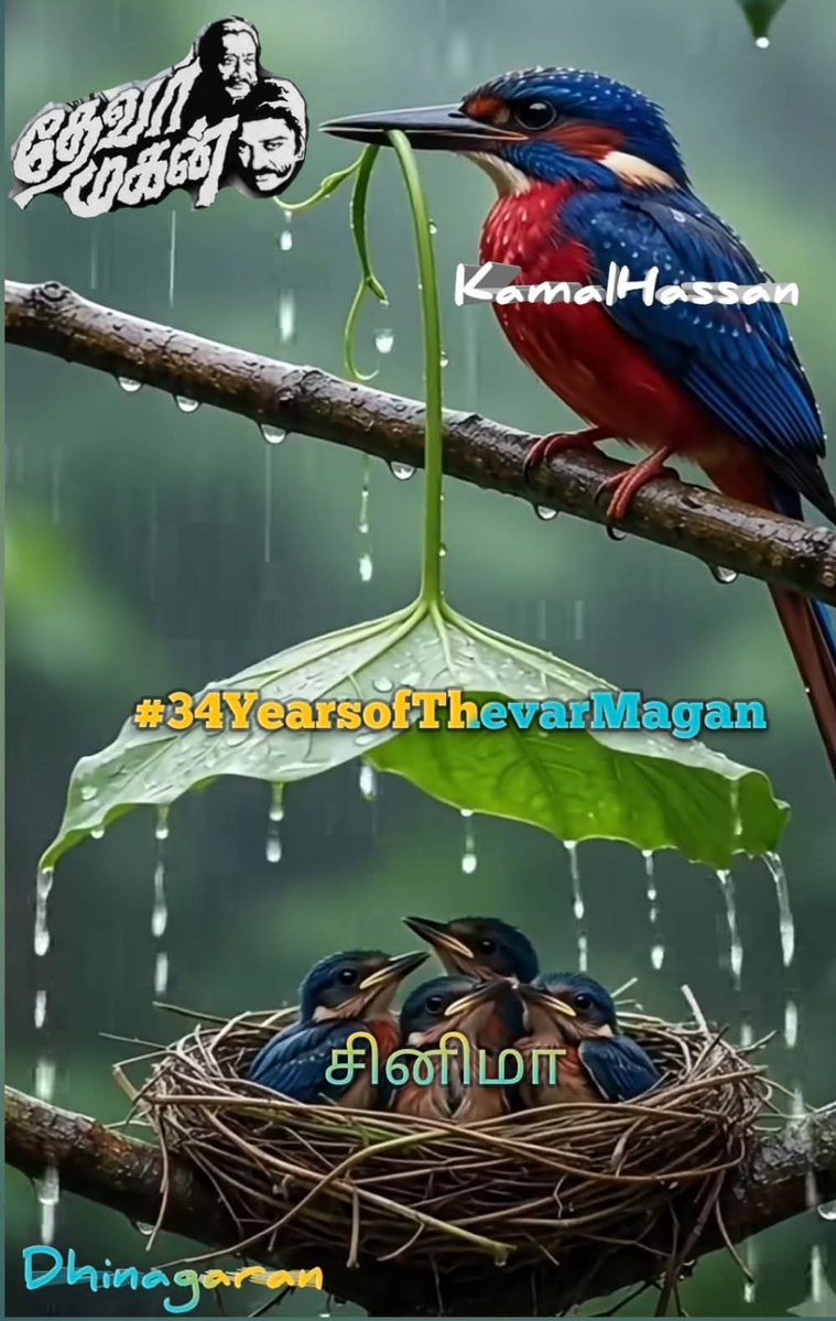 Dhinagaran78's tweet photo. சினிமாவை காப்பாற்றும்
செவாலியே கமல்ஹாசன்
#34YearsofThevarMagan
#KamalHaasan https://t.co/YKSh4Lwakg