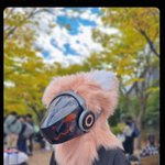 Photo by Chaos카이🔜 ? (@catp_ocket)