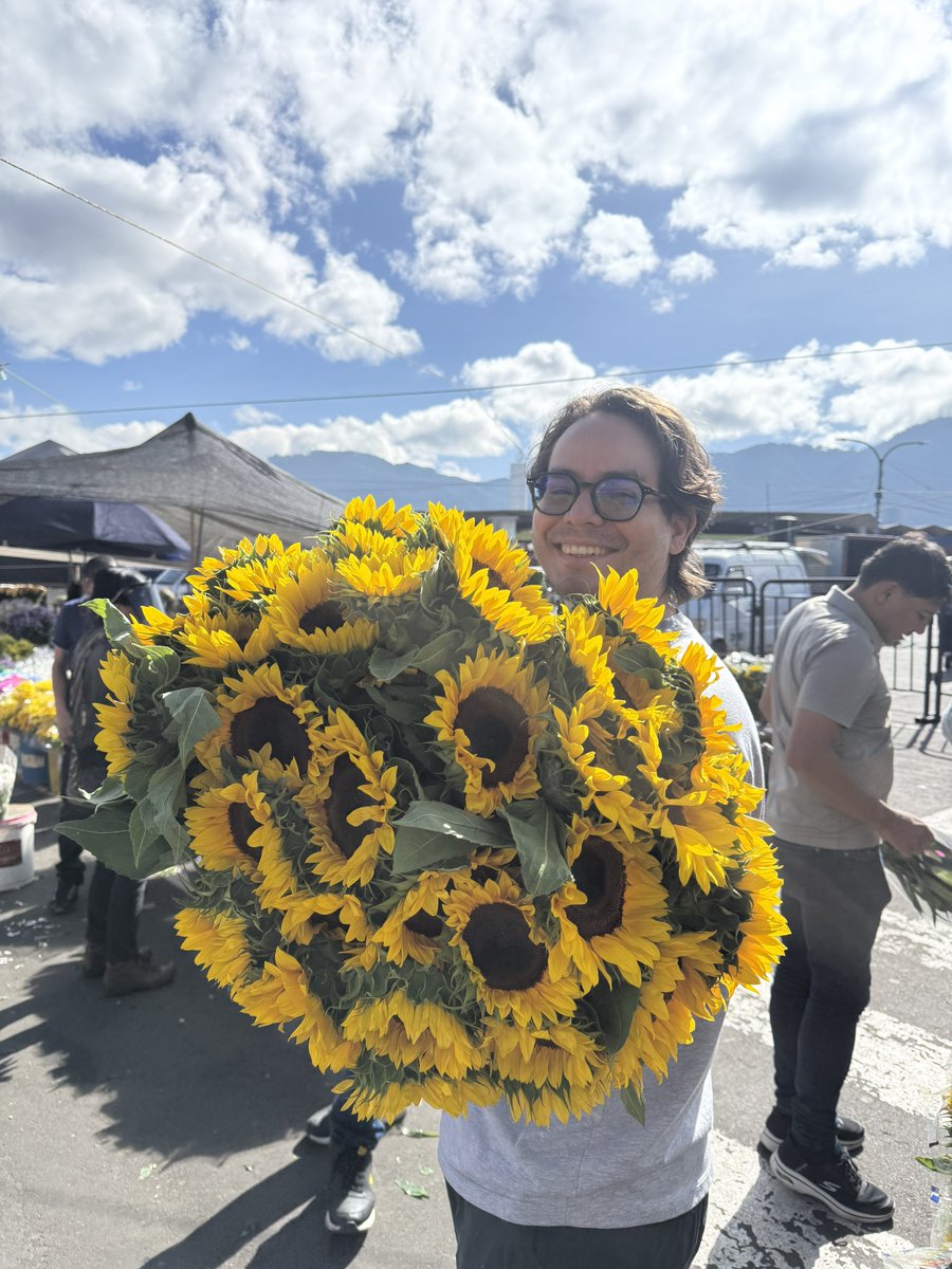 FreiderGandica's tweet photo. Los girasoles para recibir a la madre de dragones. https://t.co/U4jSHegnuU