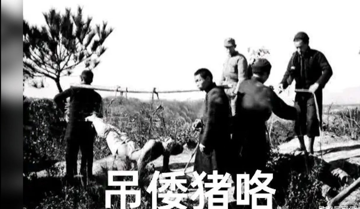 goginscall15's tweet photo. @DXiaoping0408 @owthen22 @syx16588 @Titantvman6741 av当然是你日本老母闻名全球，毕竟你老母宫颈都被捅穿开苞😍😍，你那婴儿时期的小嫩菊让黑熊叔叔好好爽了一爽。别人是素人系列，你的阴蒂穿环比你阴茎大的老母决定施行动物保护，向🐶🐏🐸🐻开放她的子宫外翻屄，不用担心能不能让你畜牲叔叔们爽到 因为还有你后面的小雏菊🥰 https://t.co/rV87UAmJCO