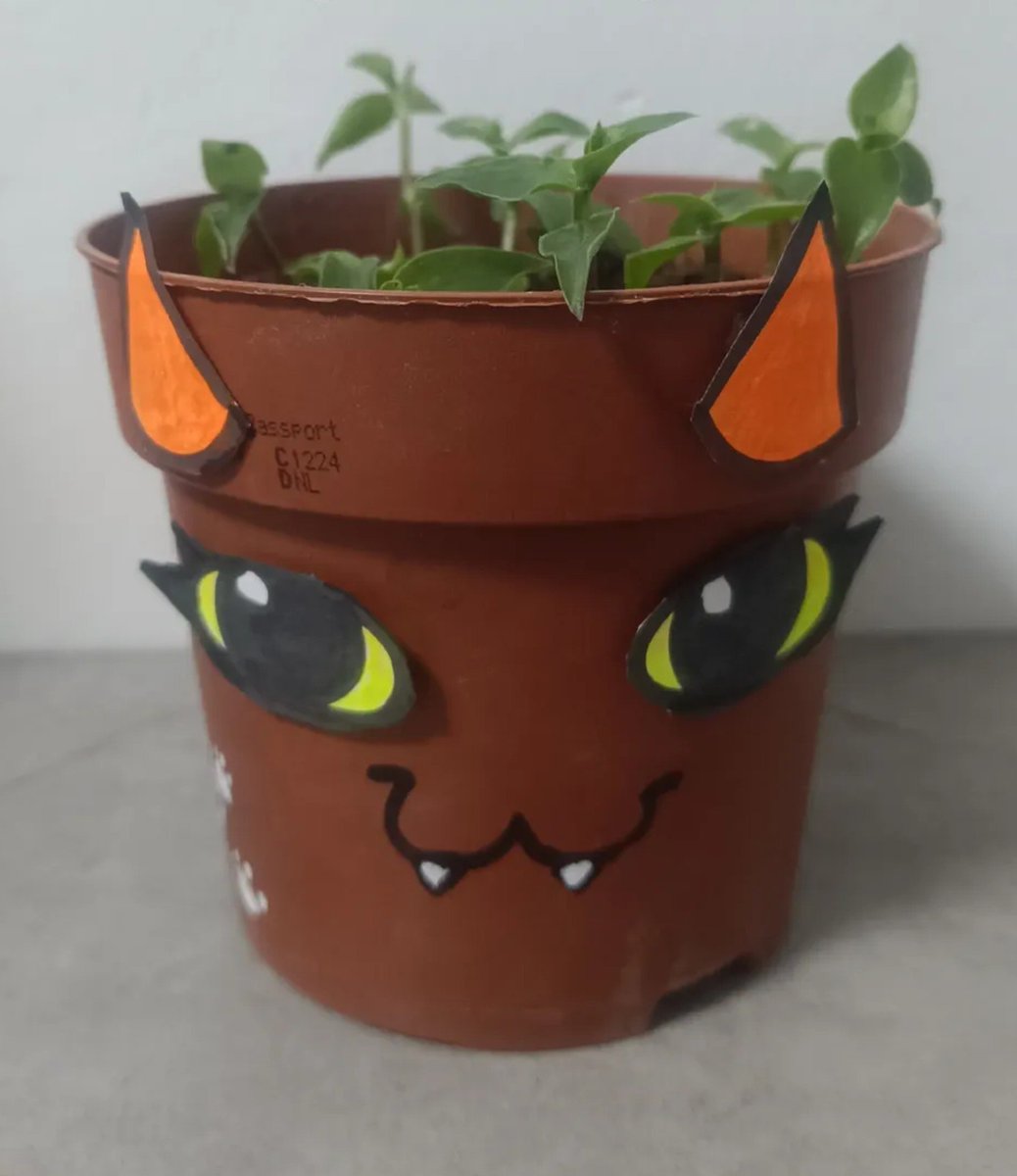 _kombatkittixx's tweet photo. neplanta leijon. https://t.co/Qvny3ldp4X