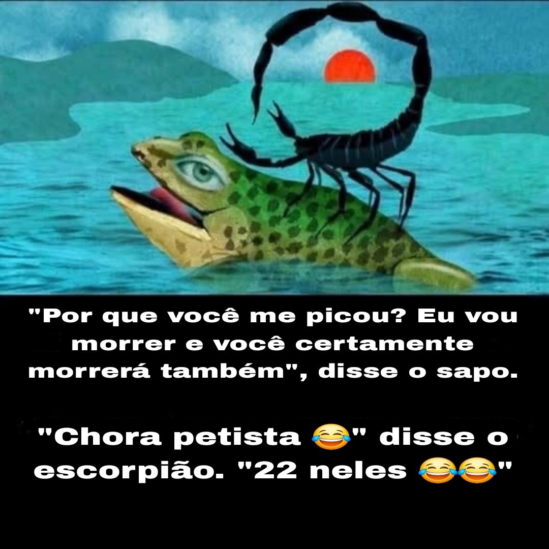 zucakity's tweet photo. https://t.co/fP0ecCAGH8