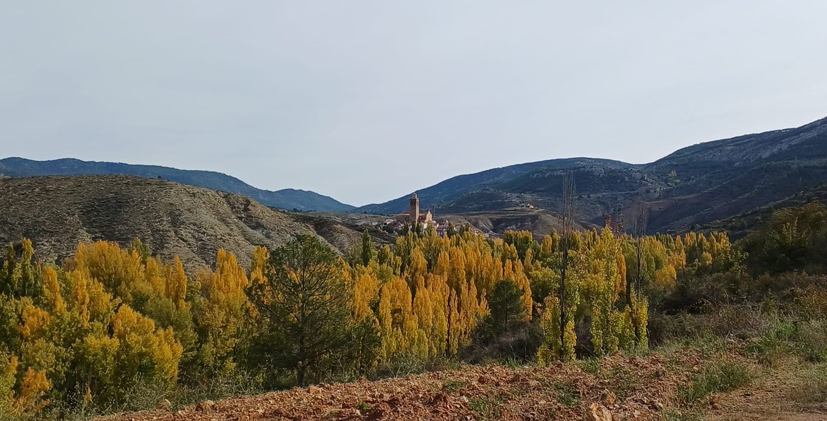followero's tweet photo. Colores del otoño (Porque aquí todavía tenemos algo de otoño. Quiza lo recordéis, ese tiempo en que te apetece ponerte una manga larga y a la vez disfrutas la brisa en la cara). https://t.co/e5BylAIPC6