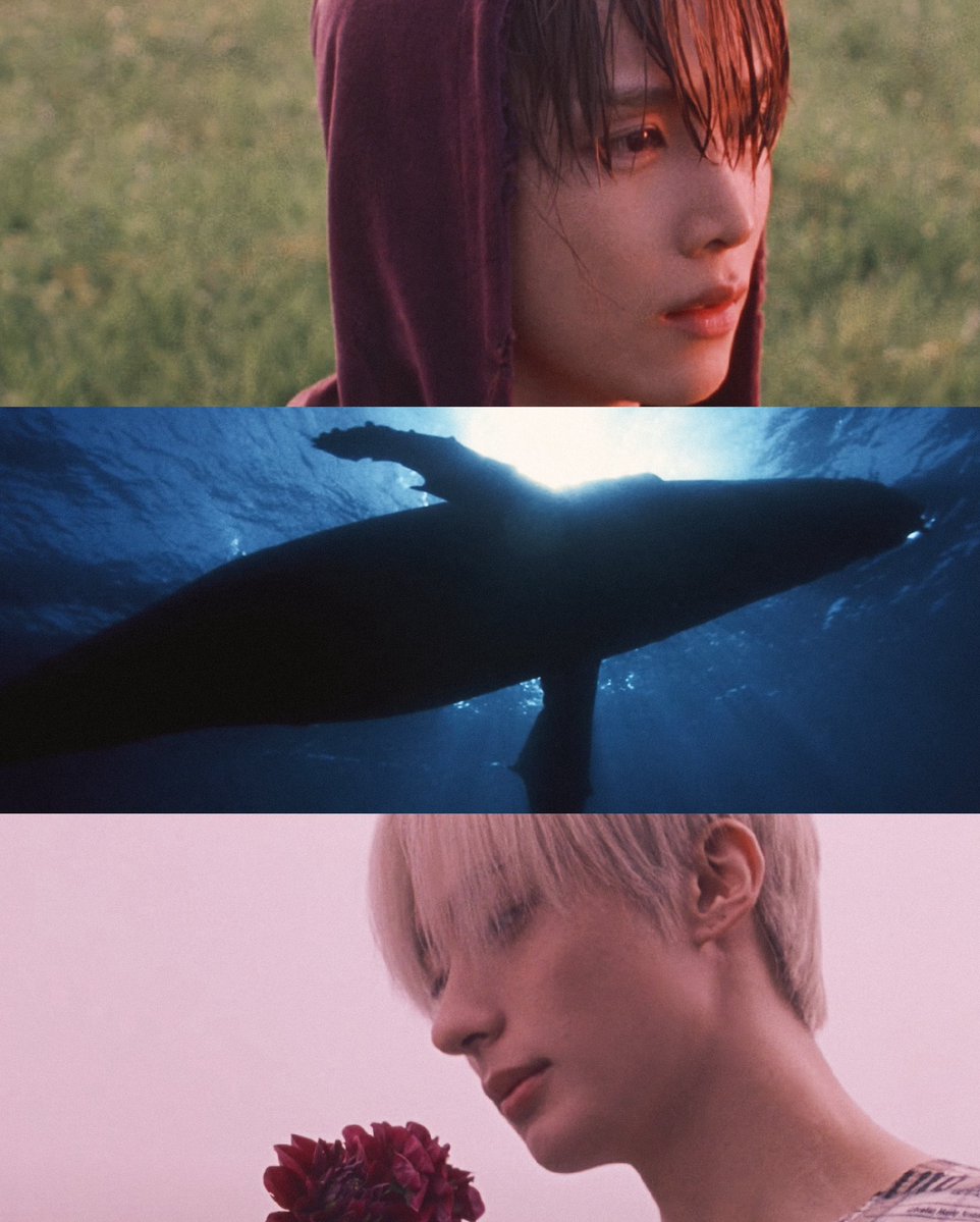 SK_shushumax's tweet photo. the story of a film https://t.co/sKtwud4NIZ