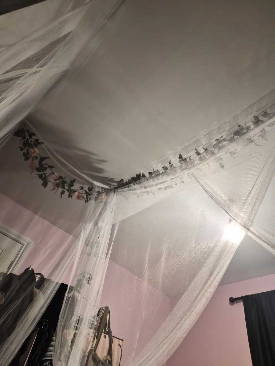 brandimisu's tweet photo. @ang3licswan omg i have a canopy too but no lights https://t.co/eIUvO8jeA6