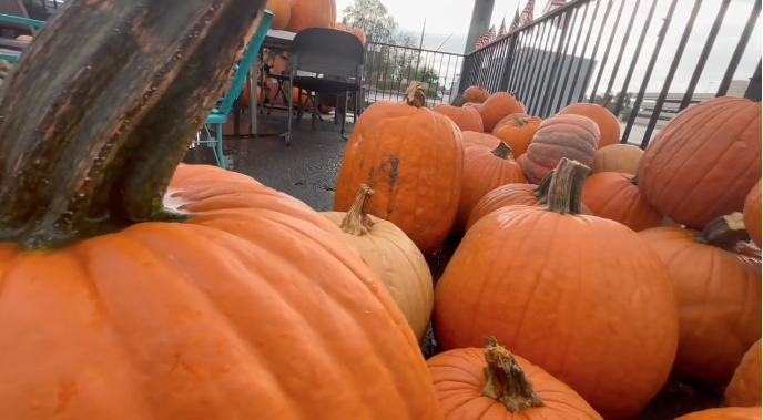 abc15's tweet photo. More than 480 pumpkins are bringing a little fall color to American Legion Post 138 in Mesa. But the seasonal sales serve a purpose that goes far beyond decorating a front porch.

Full story at link in bio. https://t.co/qNm8CIPXZj