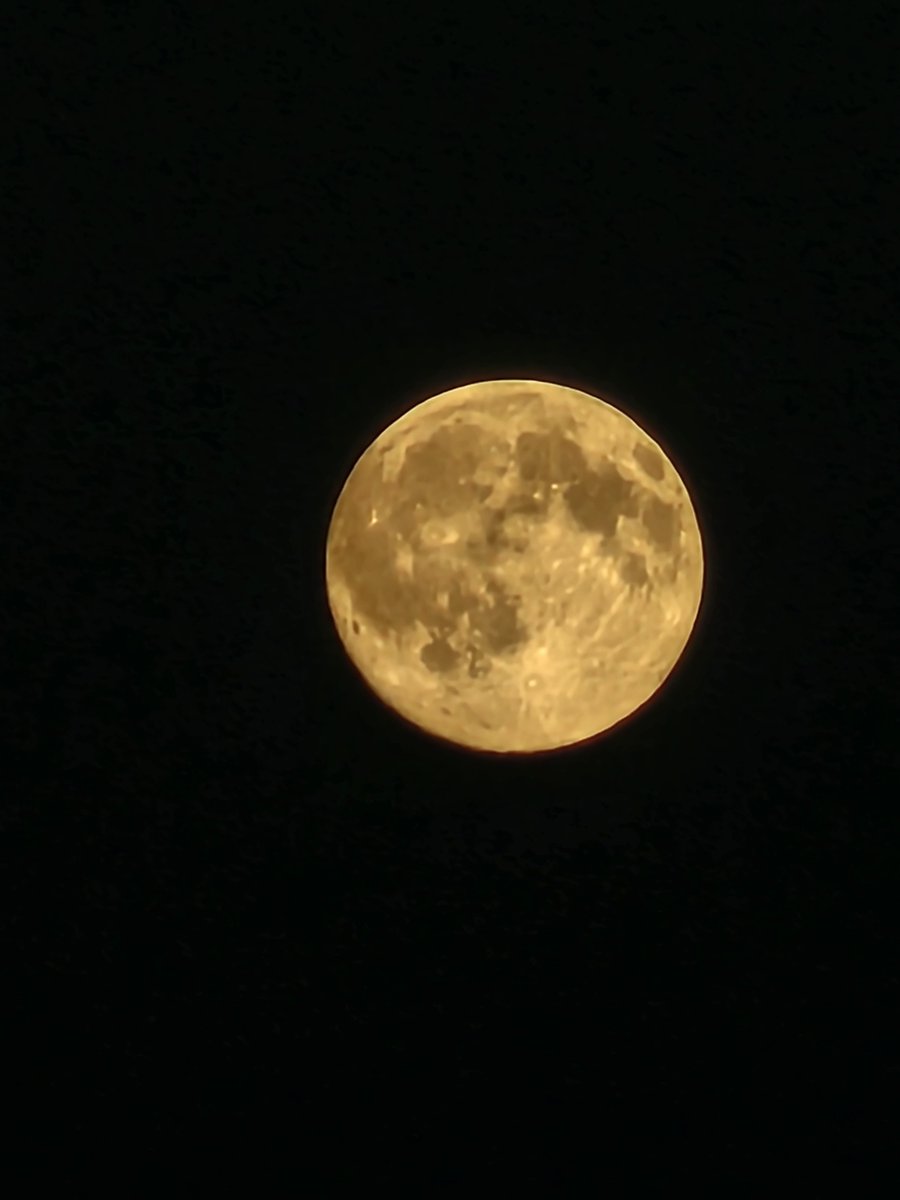 annaJones980's tweet photo. Hunters moon 🌕 https://t.co/hO5pV9aj3T