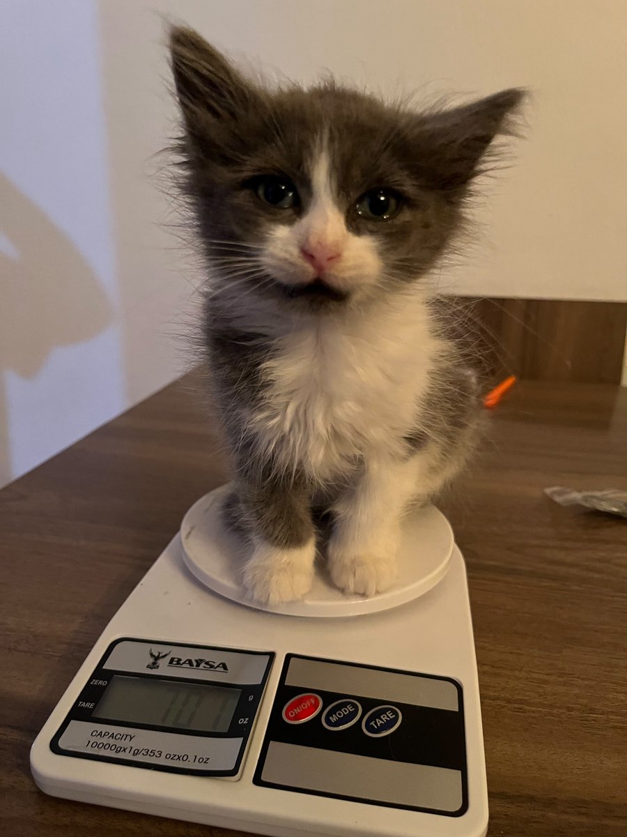 notarrestedyet's tweet photo. dükkanda kullandığım hassas tartıyı istedi bi arkadaş sormadım niye istiyon diye elemanın attığı storylere bakın https://t.co/XULlXVv9fQ