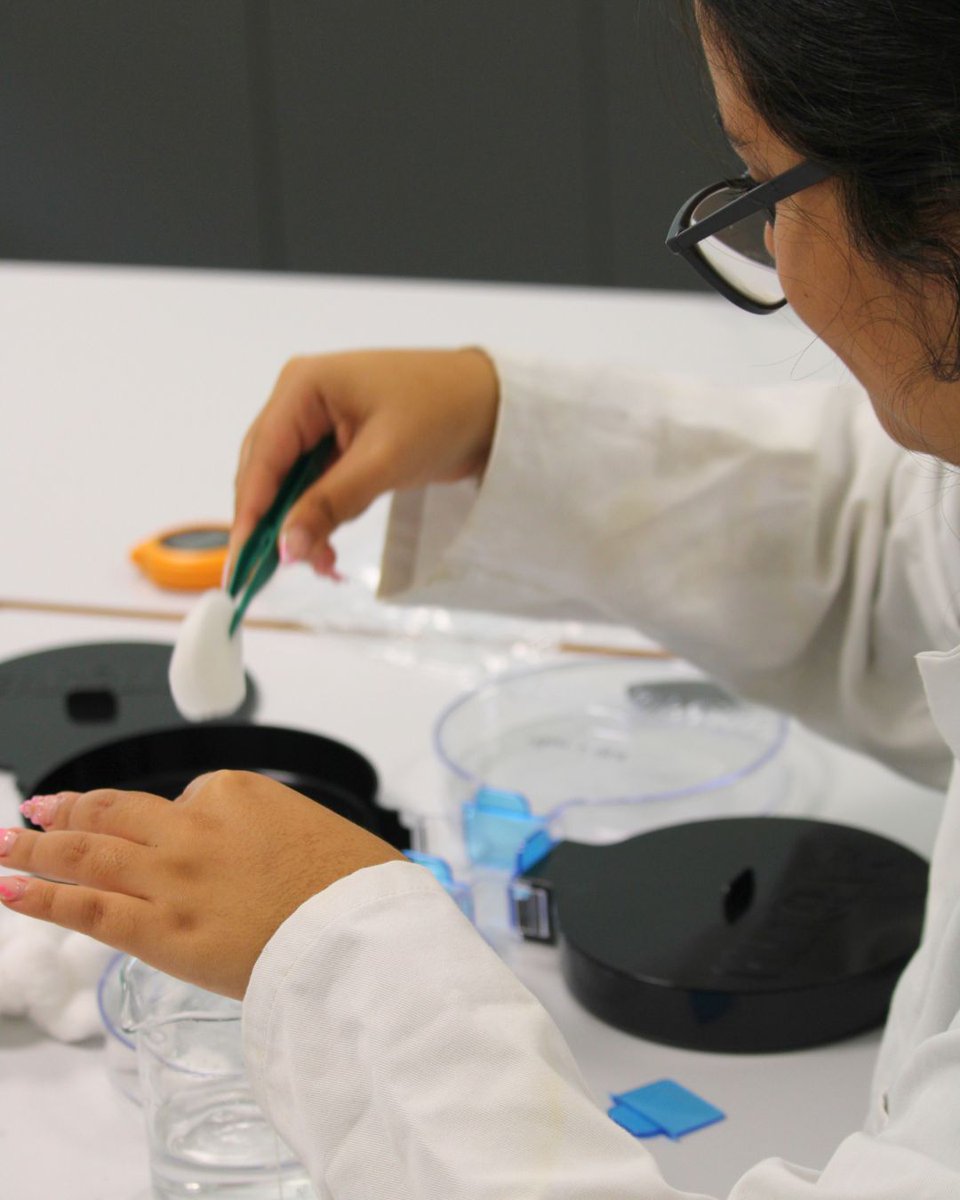 FidelisCollege's tweet photo. From practical investigations to the ideas behind them, our VI Form students explore their subjects in greater depth, learning to think critically and understand the science behind what they observe.
#FidelisCollege #SixthForm #Science #AcademicExcellence #SouthWestLondon https://t.co/3AOxRER65P