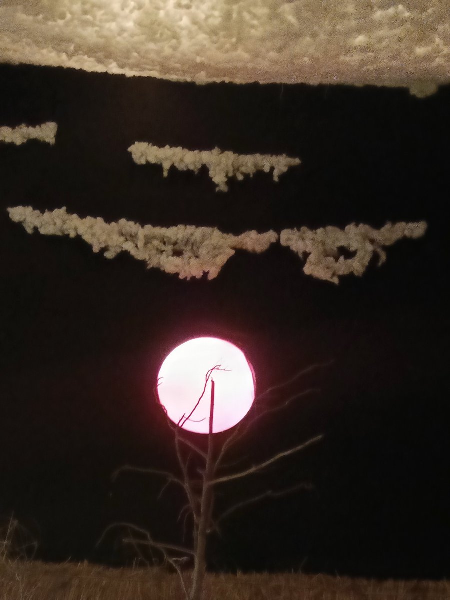 GauriLifestyle's tweet photo. 🌕✨ चाँदनी अमृत बरसाए, हर आँगन खुशियाँ छा जाएँ। 🙏

शरद पूर्णिमा की हार्दिक शुभकामनाएँ! 🌸🪷 https://t.co/MHIwn51IKE