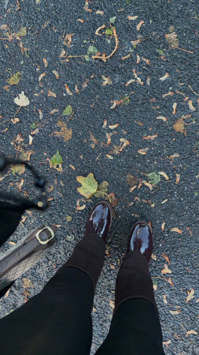 OTemiiii's tweet photo. 🍂🍁 https://t.co/kTz8s28Jcf