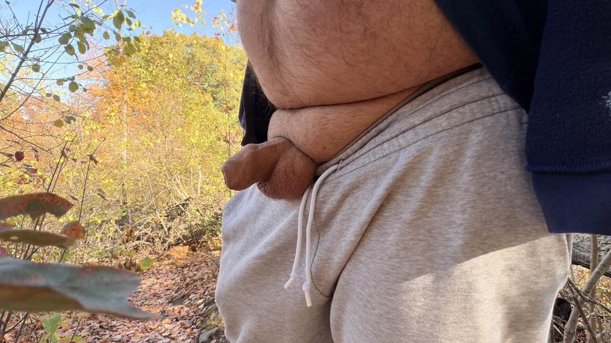 bear4bear79's tweet photo. local park 🙋‍♂️needs attention 😘 https://t.co/wl3AxAom4h