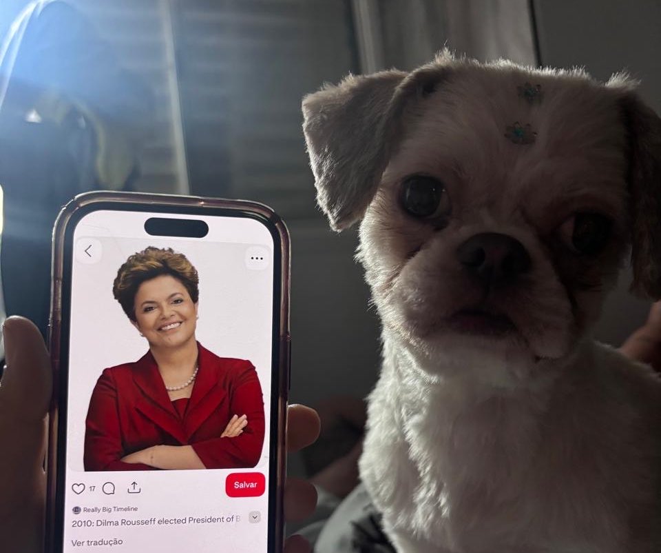 natvolkomenn's tweet photo. dia 345 de psicose política minha mãe cismou que a cachorra parece a Dilma https://t.co/IkpkKgIPRZ