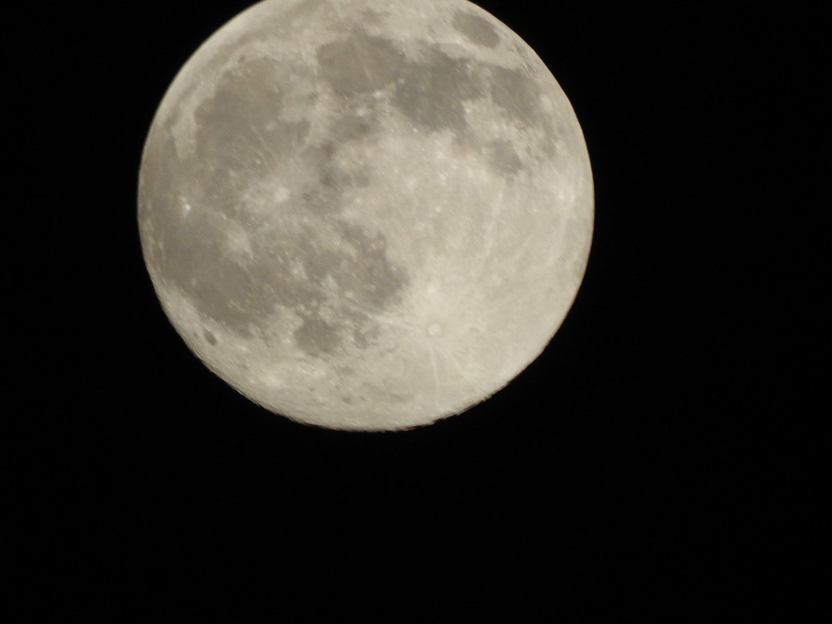warinalleys's tweet photo. #SharadPoornima #moon #nikon https://t.co/QhV9PJ29Mz