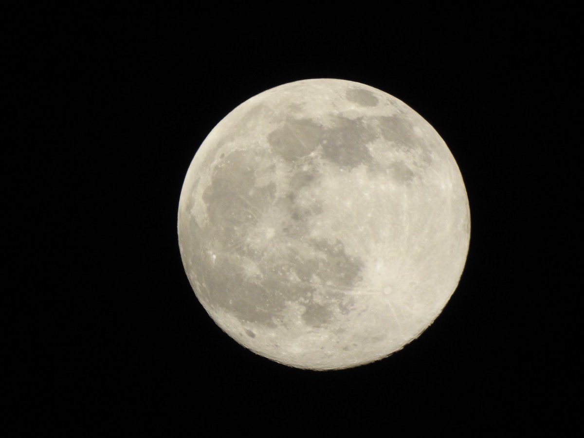 warinalleys's tweet photo. #SharadPoornima #moon #nikon https://t.co/QhV9PJ29Mz