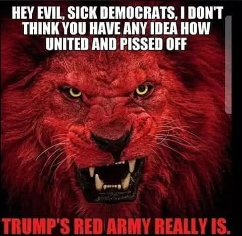 Image from Patrick (@pcasey254)