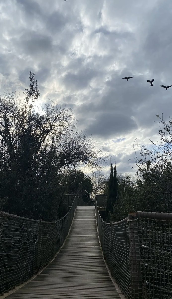 destinaasuu's tweet photo. En çok da yağmur yağdığında seviyorum bu şehri: herkesin yüzü ıslak, başı öne eğik. Sanki herkes suçunu kabullenmiş gibi... https://t.co/v9NMVfteeV