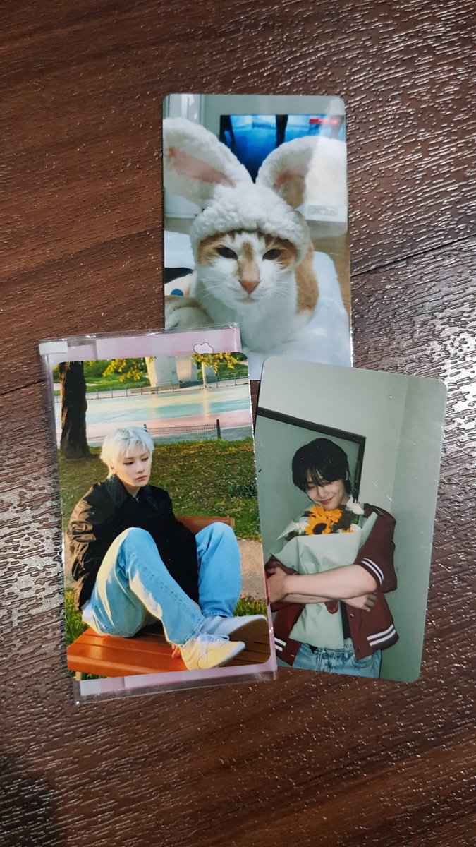 desskzz's tweet photo. Kemarin pas bubaran foto 2min, ada yg ngasih pc ini, tapi gatau siapa, dpt pc jeongin sm doongie pake topi rabbit lucu bgt, makasih ya kk stay 🫶🏻🫶🏻 https://t.co/0XThqeYdQA