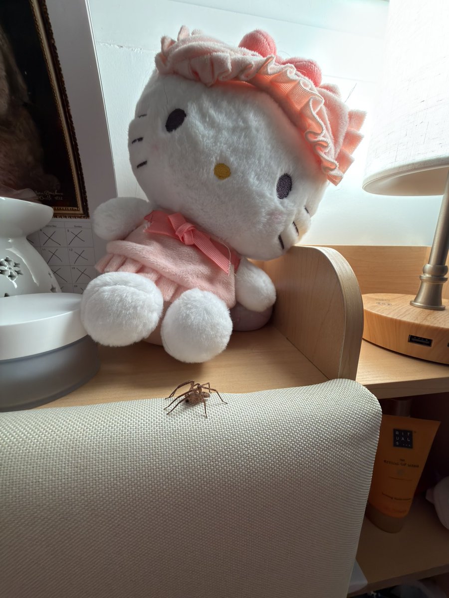 o_____o's tweet photo. chilling with hello kitty https://t.co/BKbu0Qtz5A