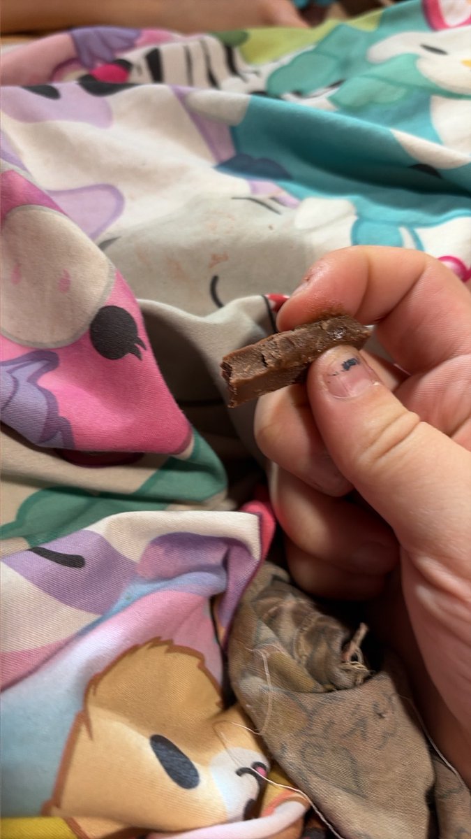 Alexzandrea01's tweet photo. @KITKAT sooooo I went to eat a KitKat and it’s just straight chocolate??? https://t.co/vNk6Hfmq8h