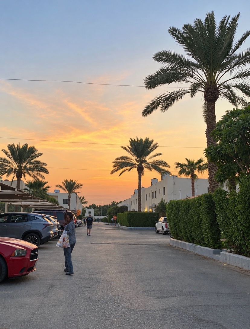 56LjLj's tweet photo. غروب الرياض 🌅 https://t.co/5tNCG0Eos5