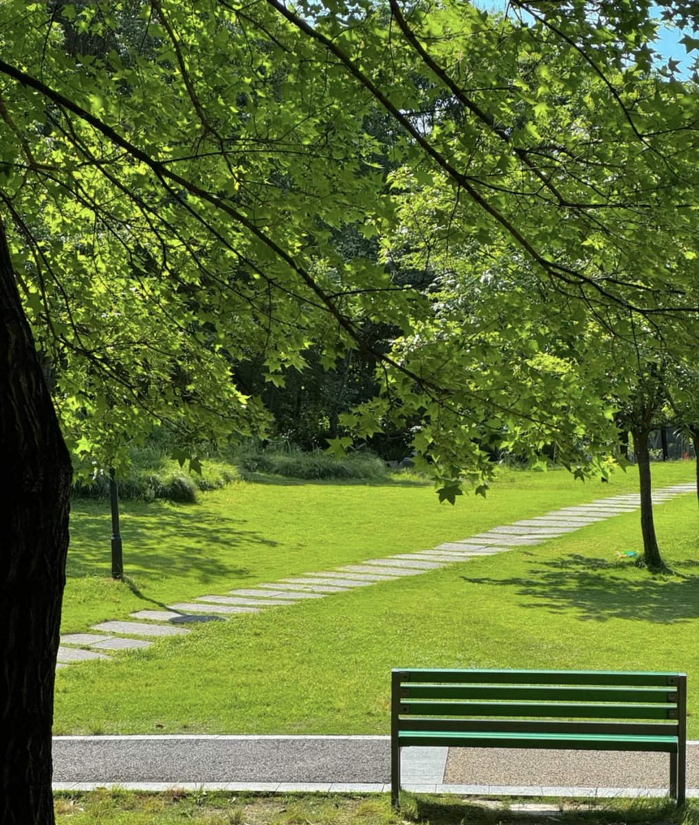M_2pm_JK's tweet photo. 今日は少し足を伸ばして、近くの公園でお散歩しました！新緑が眩しくて、気持ちのいい一日でした。 https://t.co/MqQU4ghlA7