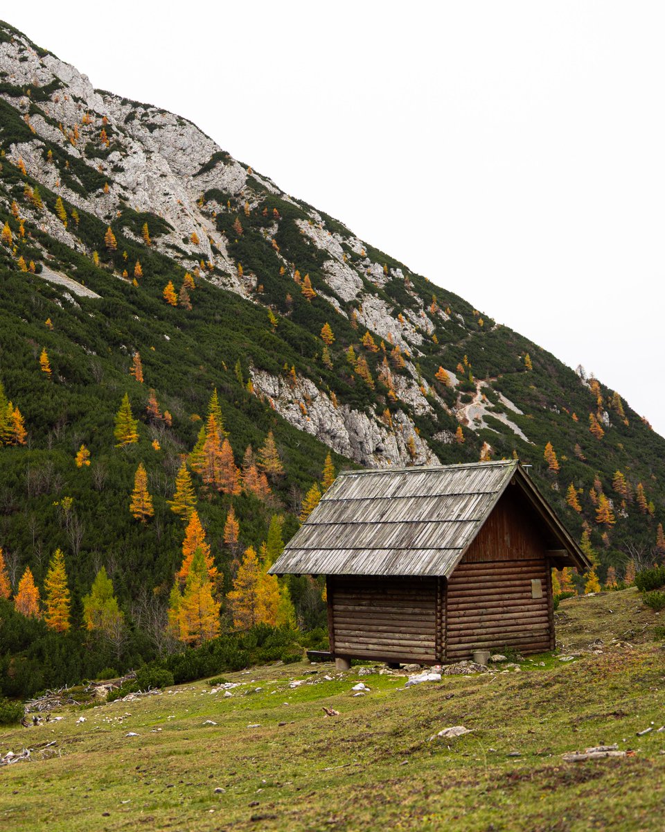 SloveniaInfo's tweet photo. 🍂💛 Autumn paints Slovenia’s mountains in golden hues!

The golden larches turn the alpine landscape into a breathtaking autumn masterpiece. 🍁🏔️

Have you experienced this golden magic in Slovenia? 💚

#ifeelsLOVEnia #Slovenia #GoldenAutumn

Photos by @vvessnna https://t.co/qhCc256Z1I
