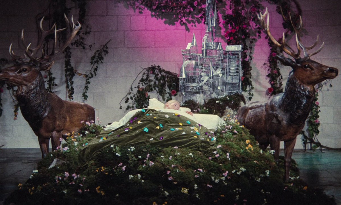Retrofilmm's tweet photo. Donkey Skin (1970) dir. Jacques Demy https://t.co/qruZJcXycP
