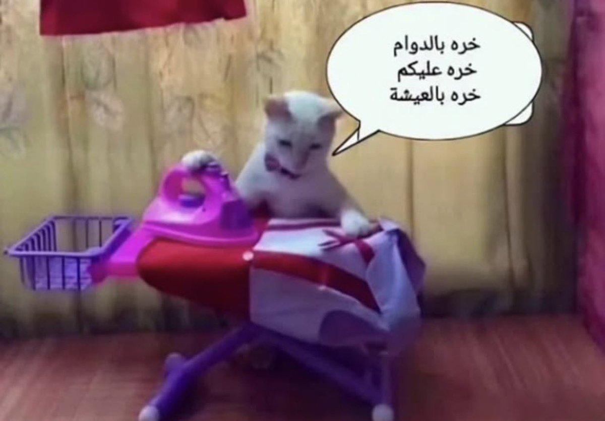 roy15o's tweet photo. تعبانه جسدياً و نفسياً بس غصب اداوم https://t.co/wkcfhySc1T